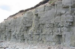 ����ʯ��ʯ���ķN����C(j��)���^���m����ʲô�S�҆᣿