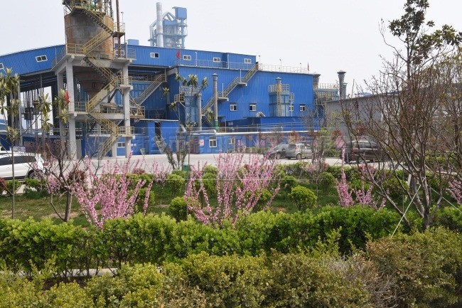 ʯ�ϏS�Gɫֲ��������뎧