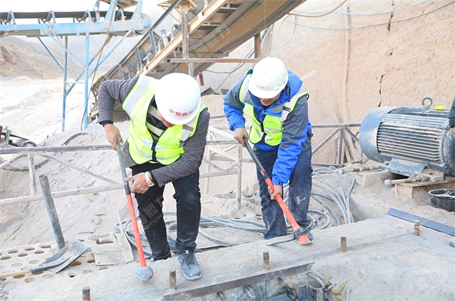 ���g�T���Ļ��������A