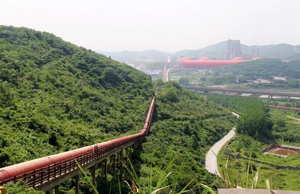 �W(w��ng)�j��D�����վGɫ�Vɽ