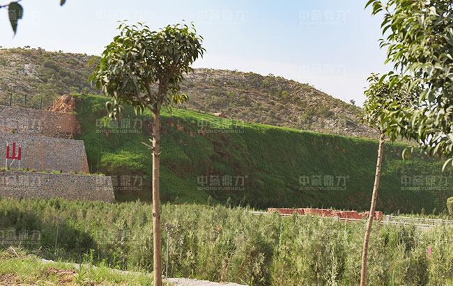 �Vɽ�ޏ�(f��)����